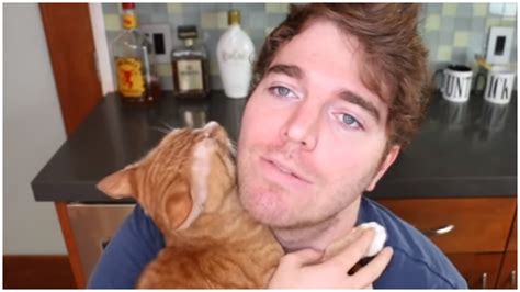 what did shane dawson do to his cat|More.